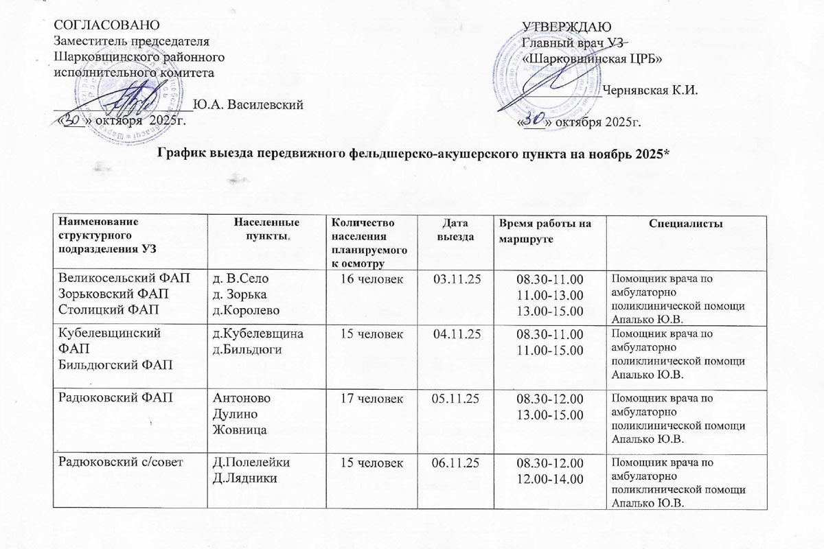 n 1 031125 graphic FAP 1