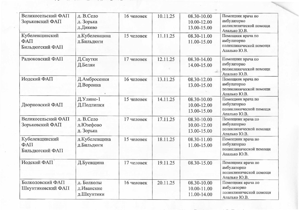 n 1 031125 graphic FAP 2