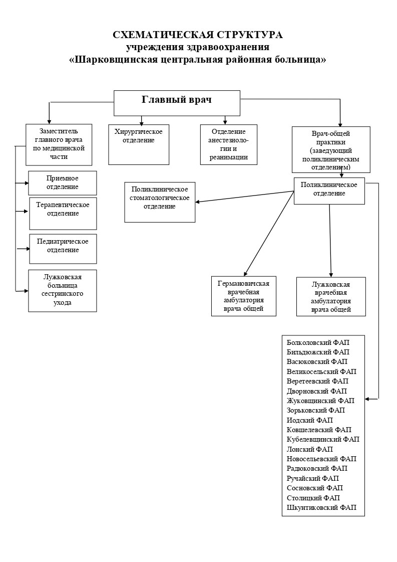 n 1 251025 Struktura